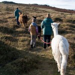 Family Trek on Dartmoor